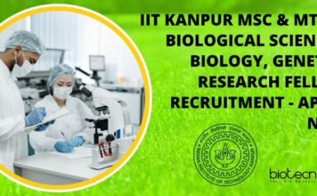 IIT Kanpur Research Fellow Recruitment