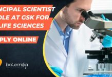 Principal Scientist Role at GSK