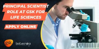 Principal Scientist Role at GSK