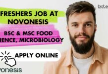 Freshers Job at Novonesis