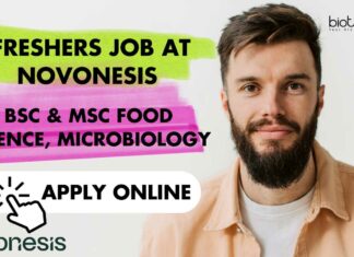 Freshers Job at Novonesis