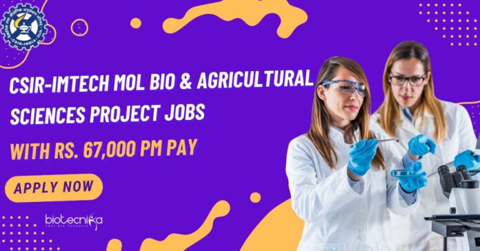 IMTECH Mol Bio Project Jobs