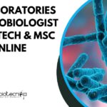 Ipca Laboratories QC Microbiologist Role