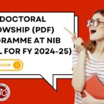 NIB Postdoctoral Fellowship Programme