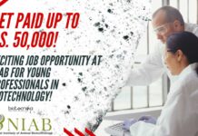 NIAB Young Professionals Job