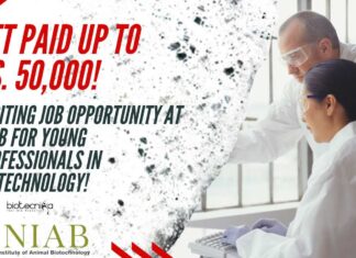 NIAB Young Professionals Job