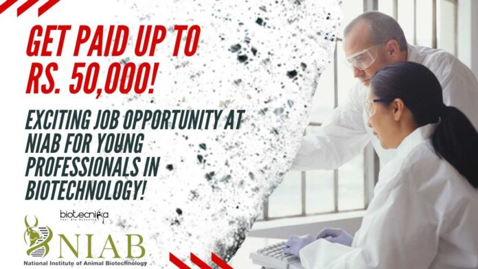 NIAB Young Professionals Job