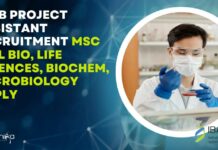 IBAB Project Assistant Recruitment