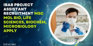 IBAB Project Assistant Recruitment