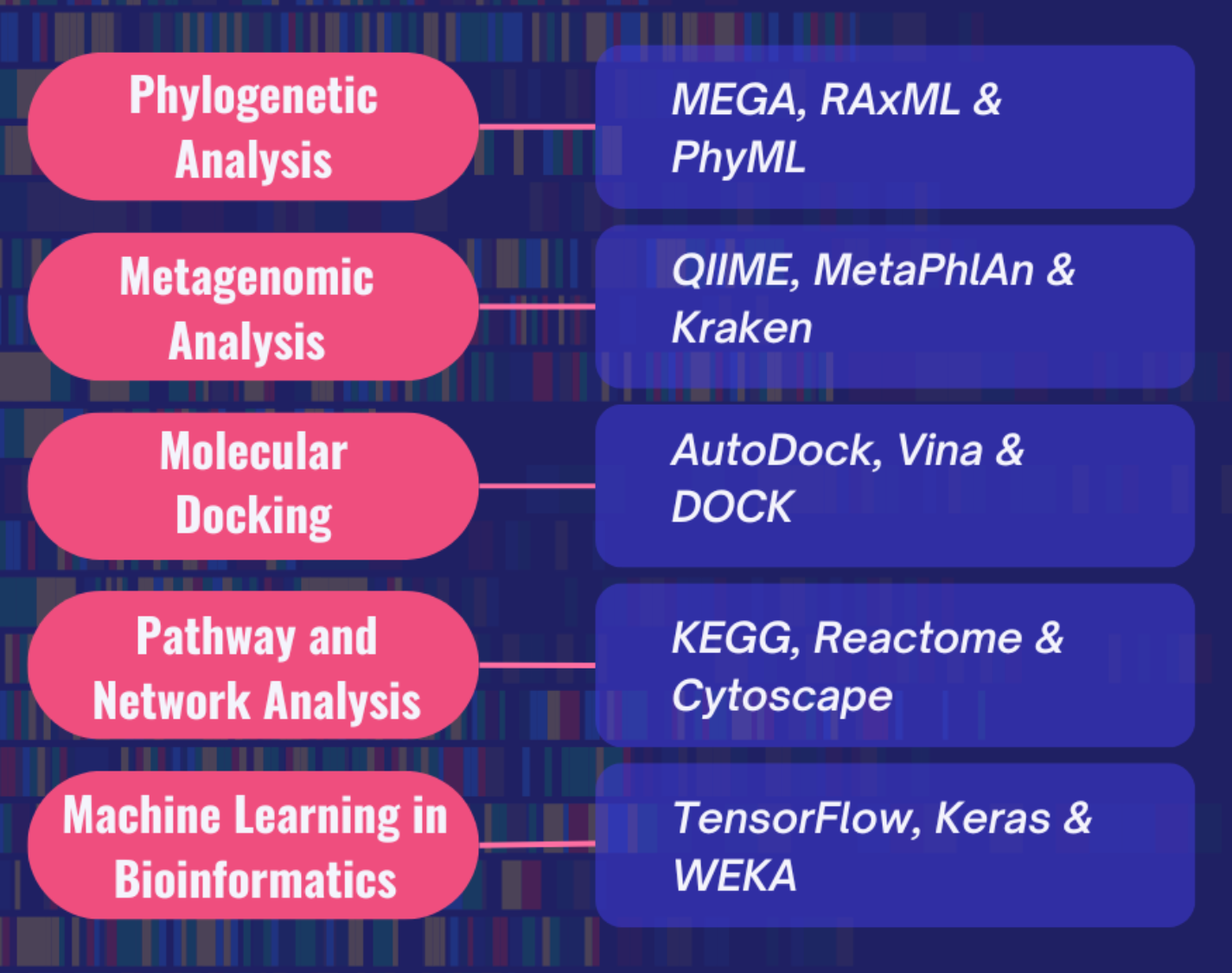 Top 10 Bioinformatics Tools