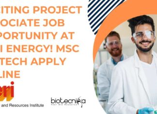 Project Associate Job Opportunity