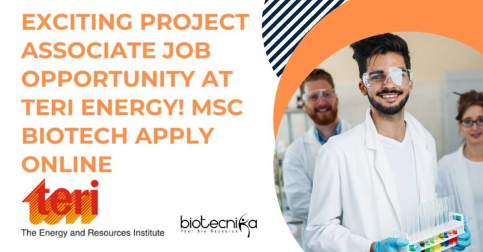 Project Associate Job Opportunity