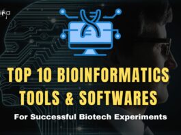 Top 10 Bioinformatics Tools