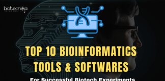 Top 10 Bioinformatics Tools