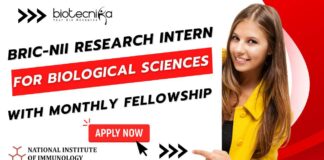 BRIC-NII Research Intern