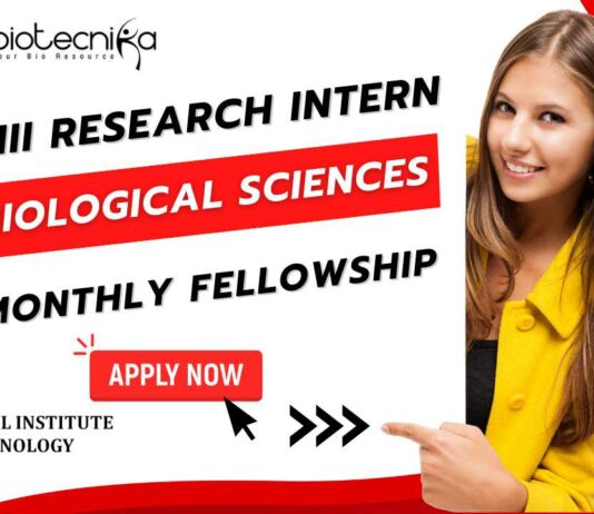 BRIC-NII Research Intern