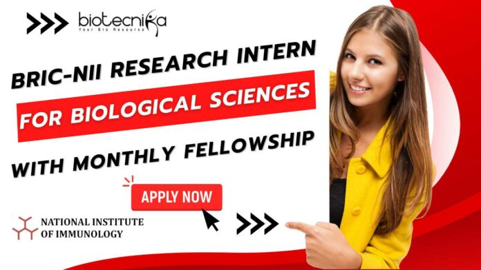 BRIC-NII Research Intern