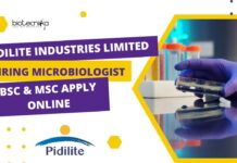 Pidilite Industries Limited Hiring