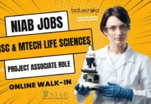 NIAB Project Vacancy 2024