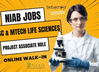 NIAB Project Vacancy 2024
