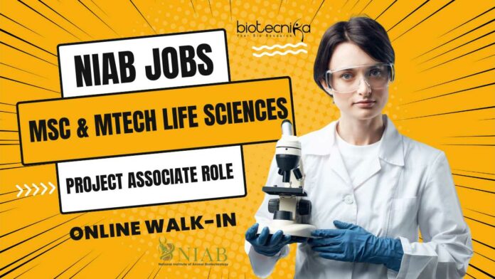 NIAB Project Vacancy 2024