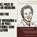 2024 Nobel Prize: MicroRNA’s Discovery and Its Significance in Post-Transcriptional Gene Regulation Awarded Nobel Prize in Physiology or Medicine 2024 Nobel Prize