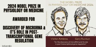 2024 Nobel Prize