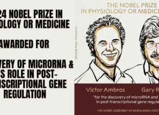 2024 Nobel Prize: MicroRNA’s Discovery and Its Significance in Post-Transcriptional Gene Regulation Awarded Nobel Prize in Physiology or Medicine 2024 Nobel Prize