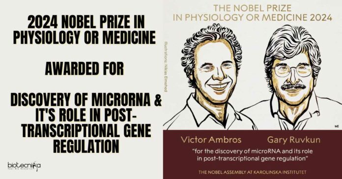 2024 Nobel Prize