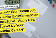 junior-bioinformatician-basesolve-msc-bioinformatics-eligible