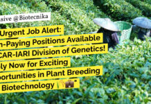 ICAR-IARI Project Associate Role