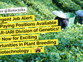 ICAR-IARI Project Associate Role