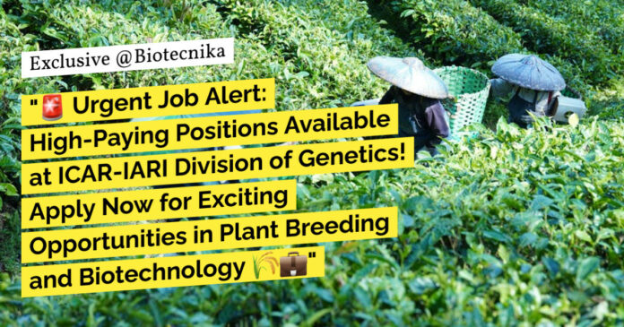 ICAR-IARI Project Associate Role
