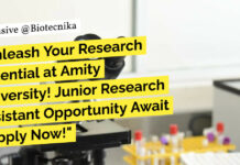 Amity University AIMMSCR MSc Life Sciences Research Assistant Recruitment – Apply Now Amity University AIMMSCR MSc