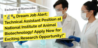 NIAB BSc Biology Project Vacancy