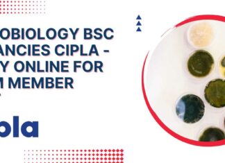 Microbiology BSc Vacancies Cipla - Apply Online For Team Member Post