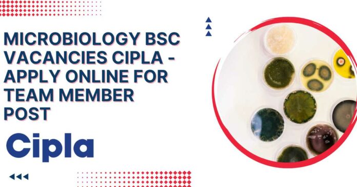 Microbiology BSc Vacancies Cipla - Apply Online For Team Member Post