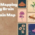 Neuron Mapping Adult Fly Brain - New Brain Map