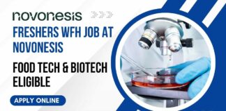 Freshers WFH Job