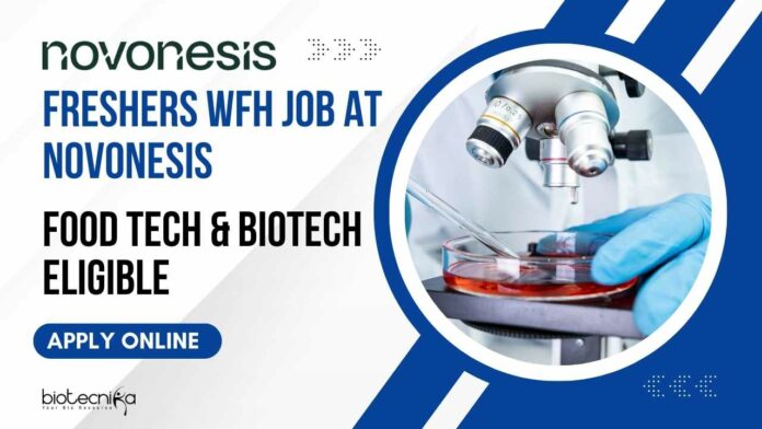 Freshers WFH Job
