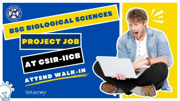 BSc Biological Sciences Project
