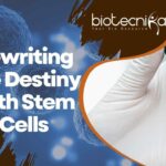Stem Cells & Diabetes