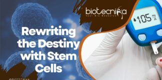 Stem Cells & Diabetes