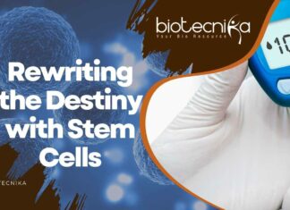 Stem Cells & Diabetes
