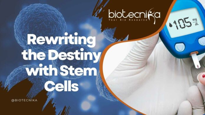 Stem Cells & Diabetes