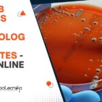 Microbiology BSc Jobs Cipla
