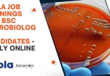 Microbiology BSc Jobs Cipla