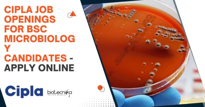 Microbiology BSc Jobs Cipla