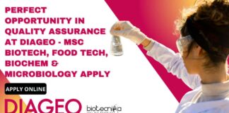 Quality Assurance Job at DIAGEO