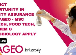 Quality Assurance Job at DIAGEO